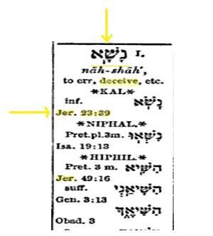 Hebrew word Nasha